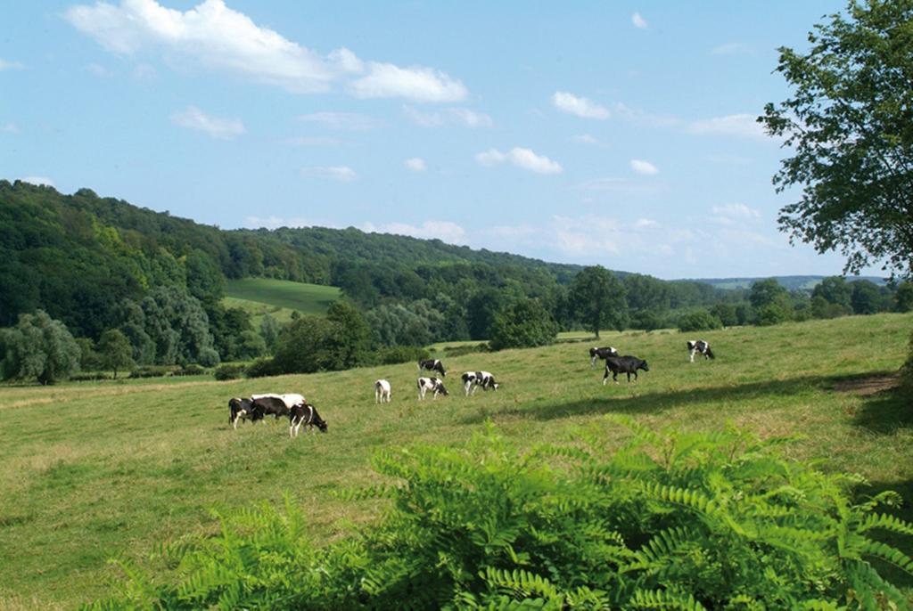 Klein Zwitserland Slenaken Pokój zdjęcie